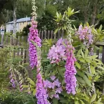 Sophienquelle Schweizermuehle Apartment