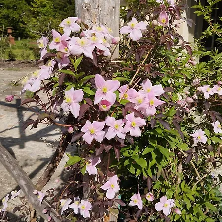 Apartment Sophienquelle Schweizermühle
