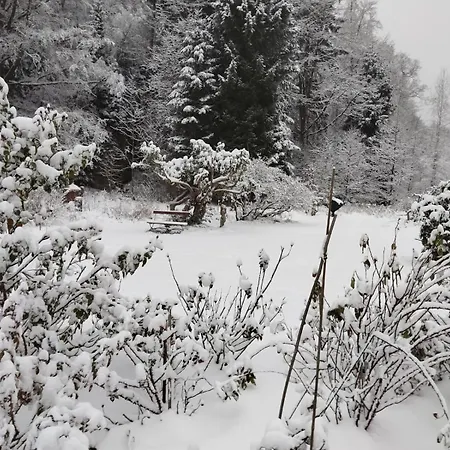 Apartment Sophienquelle Schweizermühle *