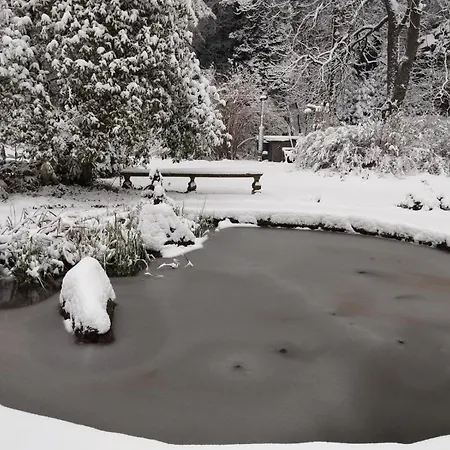 Sophienquelle Schweizermühle * Rosenthal-Bielatal
