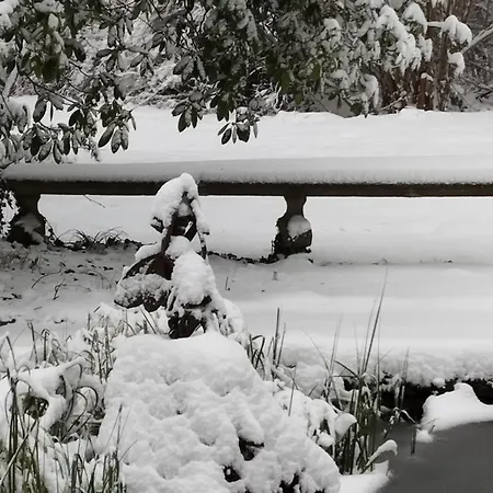 Sophienquelle Schweizermühle Apartment *