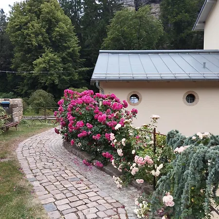 Sophienquelle Schweizermuehle * Rosenthal-Bielatal