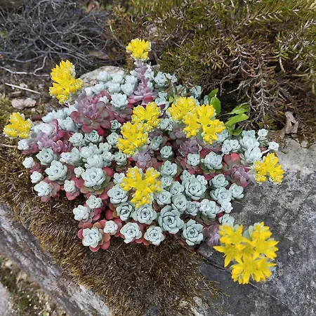 Sophienquelle Schweizermuehle Rosenthal-Bielatal