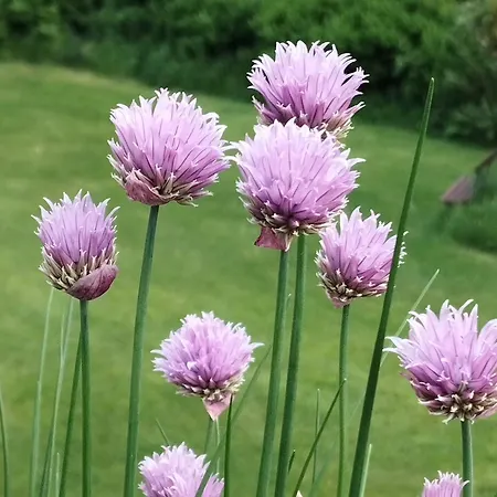 Sophienquelle Schweizermuehle * Rosenthal-Bielatal