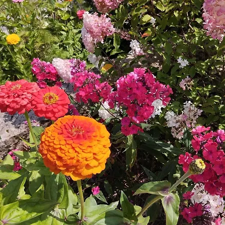 Sophienquelle Schweizermuehle