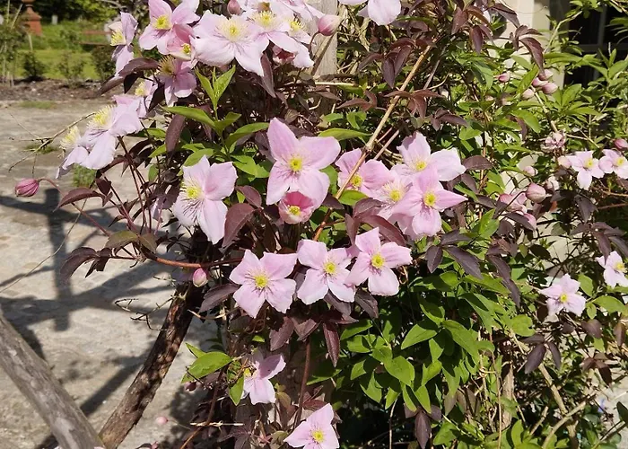 Apartment Sophienquelle Schweizermuehle