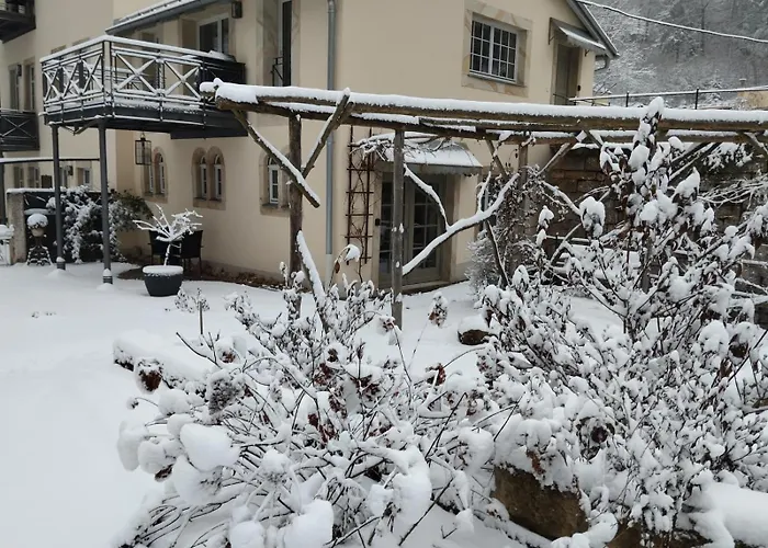 Sophienquelle Schweizermuehle Appartamento *