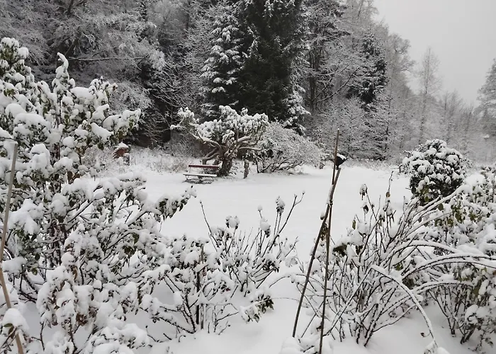 Apartment Sophienquelle Schweizermuehle *