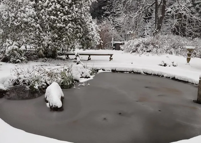 Sophienquelle Schweizermuehle * Rosenthal-Bielatal