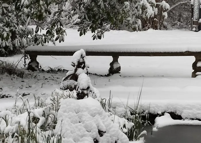 Sophienquelle Schweizermuehle Appartamento *