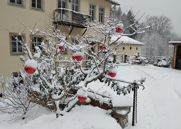 Appartamento Sophienquelle Schweizermuehle *