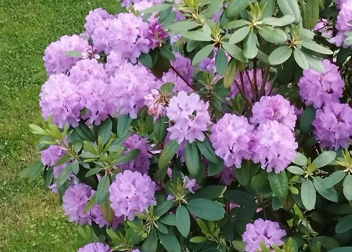 Sophienquelle Schweizermuehle