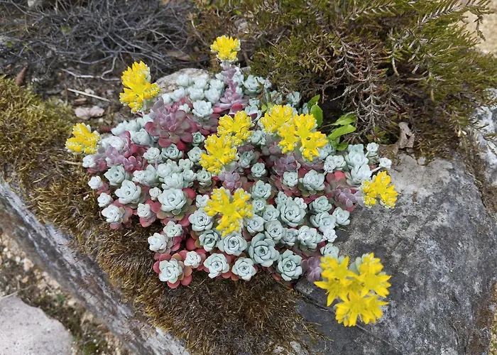 Sophienquelle Schweizermuehle Rosenthal-Bielatal