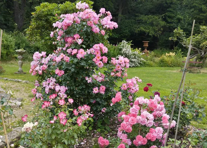 Sophienquelle Schweizermuehle Appartamento Rosenthal-Bielatal