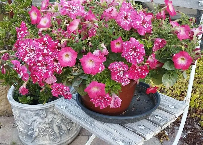 Appartamento Sophienquelle Schweizermuehle Rosenthal-Bielatal