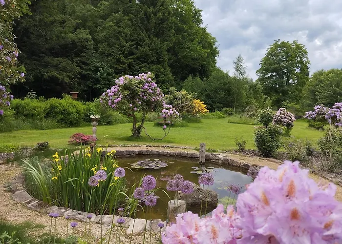 Sophienquelle Schweizermuehle Appartamento *