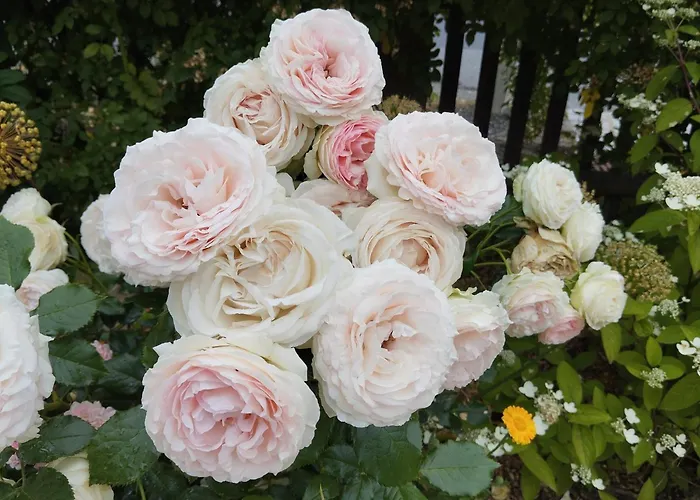 Sophienquelle Schweizermuehle Appartamento