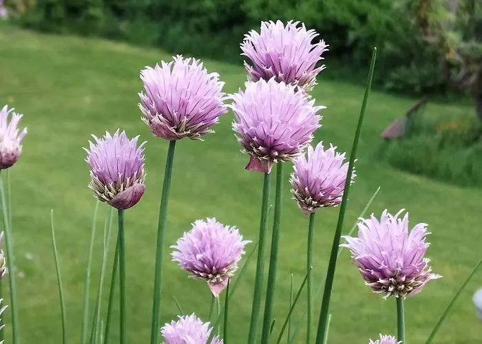 Sophienquelle Schweizermuehle * Rosenthal-Bielatal