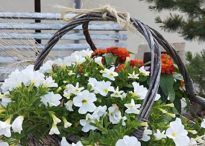 Sophienquelle Schweizermuehle * Rosenthal-Bielatal