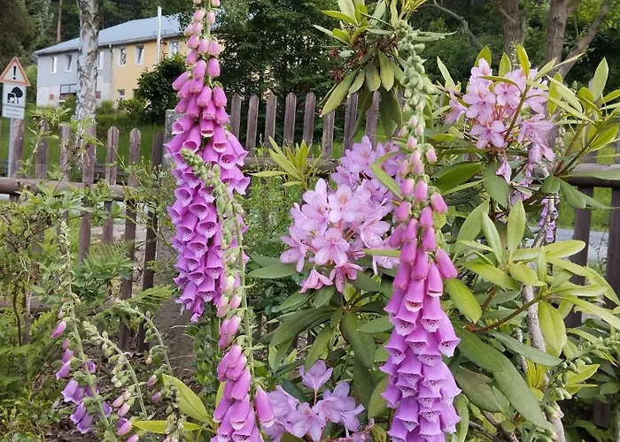 Sophienquelle Schweizermuehle Appartamento