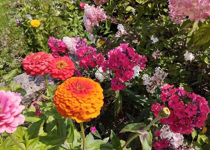 Sophienquelle Schweizermuehle